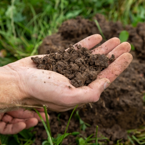Rich dark screened topsoil