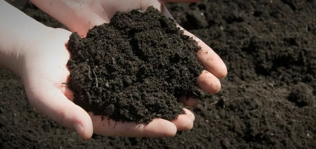 Premium screened topsoil