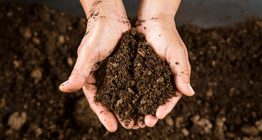 Premium screened dirt