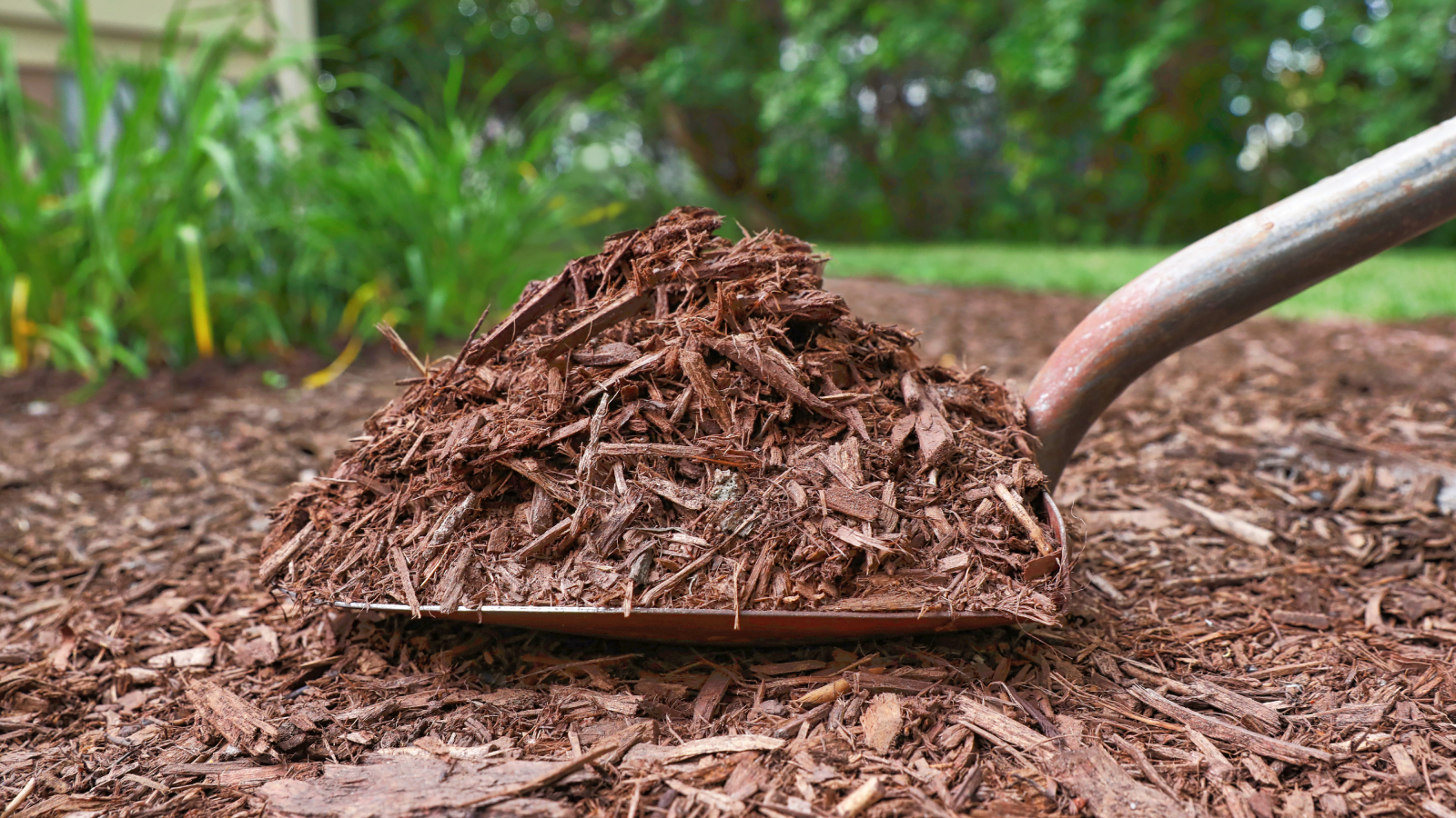Bulk hardwood mulch delivery
